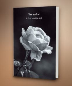 Witte roos met kader
