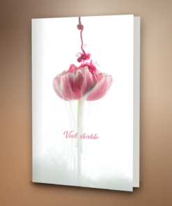 Pink flower