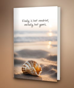 Schelp op het strand