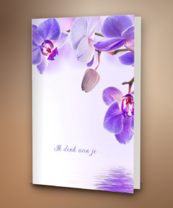 Paarse orchidee