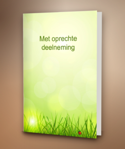 Gras met lieveheersbeestje