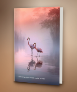 Flamingos in water