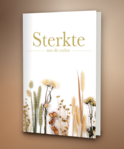 Droogbloemen bruin