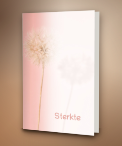 Paardenbloem zacht roze
