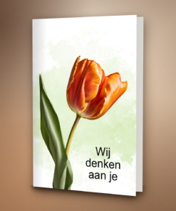 Tulp met groene achtergrond