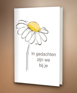 Madelief getekend