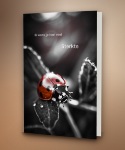 Lieveheersbeestje op blad zwart-wit